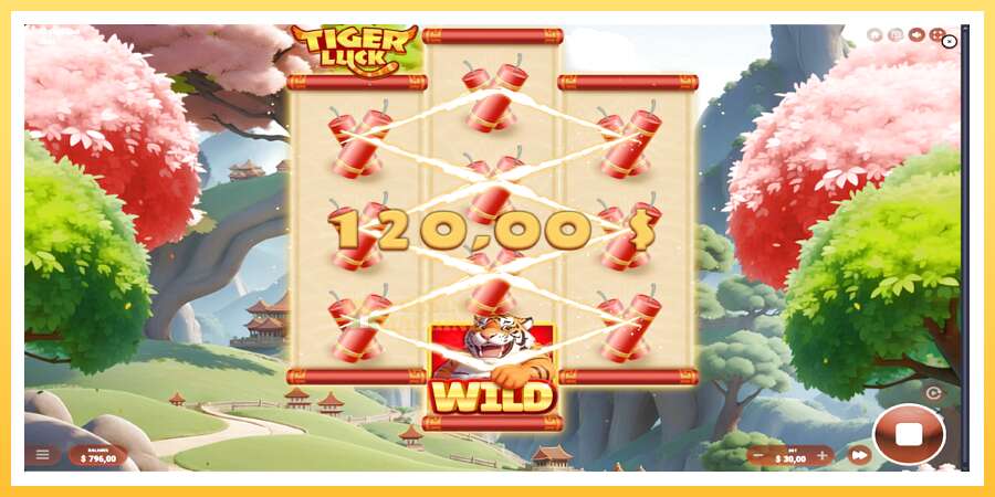 Tiger Luck: ပိုက်ဆံအတွက်ကစား, ပုံ 4