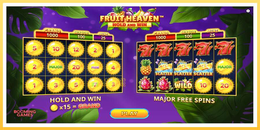 Fruit Heaven Hold and Win: ပိုက်ဆံအတွက်ကစား, ပုံ 1