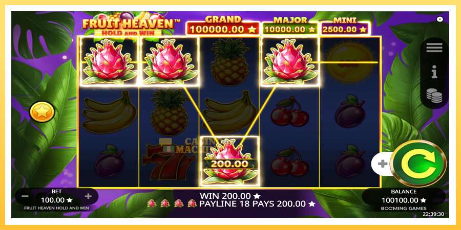 Fruit Heaven Hold and Win: ပိုက်ဆံအတွက်ကစား, ပုံ 3