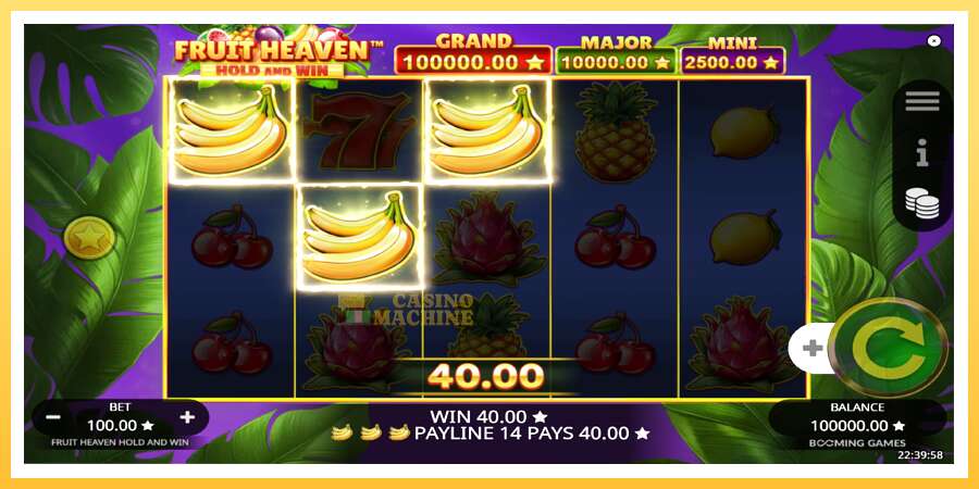 Fruit Heaven Hold and Win: ပိုက်ဆံအတွက်ကစား, ပုံ 4