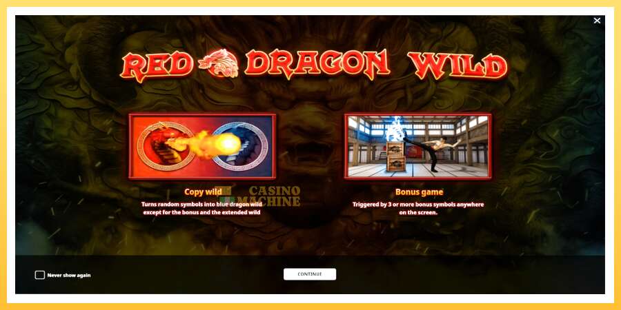 Red Dragon Wild: ပိုက်ဆံအတွက်ကစား, ပုံ 2