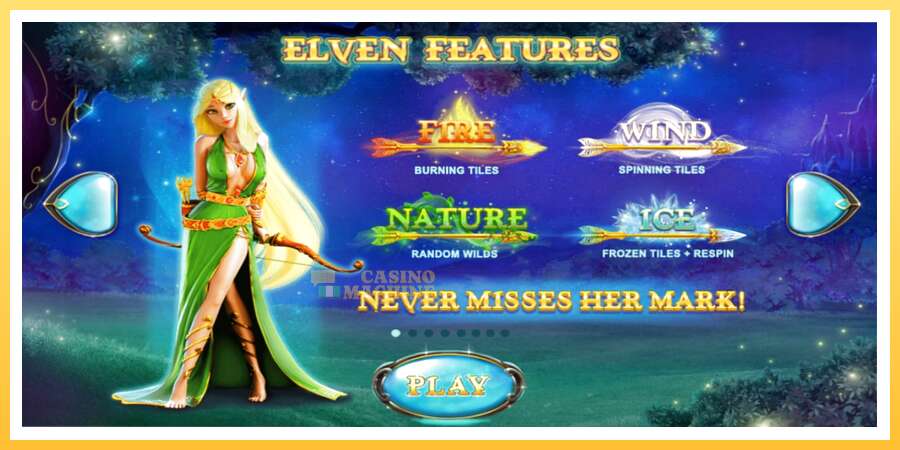 Elven Magic: ပိုက်ဆံအတွက်ကစား, ပုံ 1