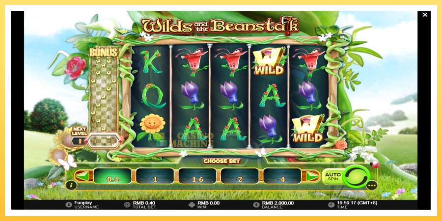 Wilds and the Beanstalk: ပိုက်ဆံအတွက်ကစား, ပုံ 2