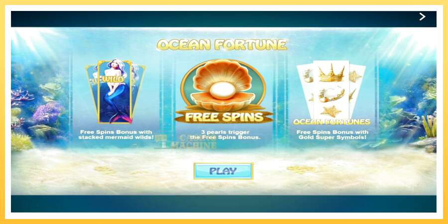 Ocean Fortune: ပိုက်ဆံအတွက်ကစား, ပုံ 1