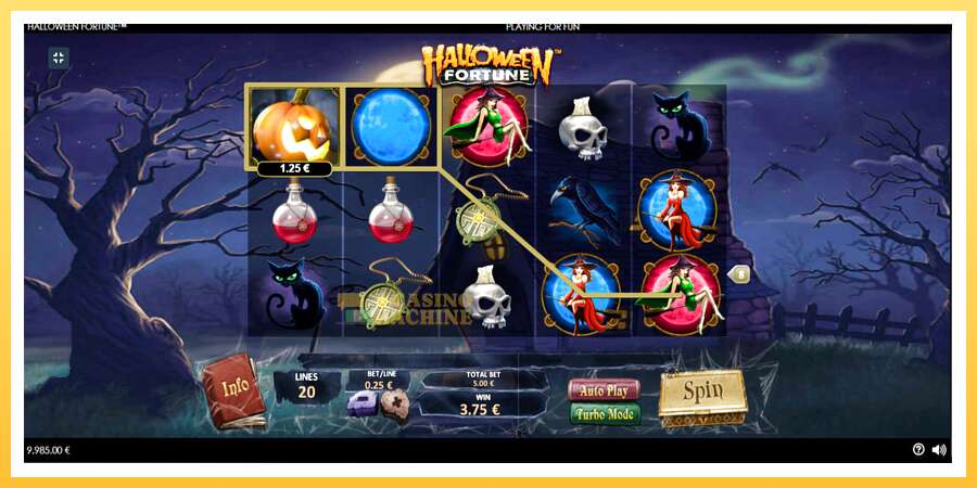 Halloween Fortune: ပိုက်ဆံအတွက်ကစား, ပုံ 3