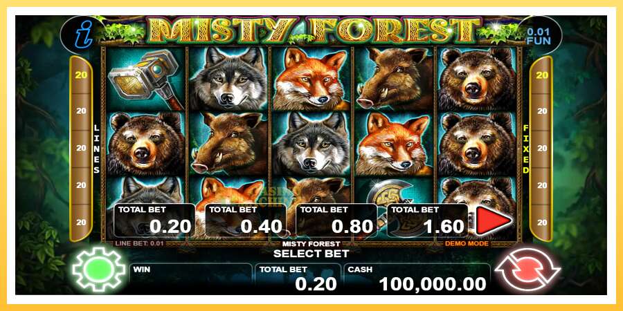 Misty Forest: ပိုက်ဆံအတွက်ကစား, ပုံ 1