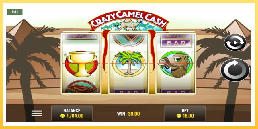 Crazy Camel Cash: ပိုက်ဆံအတွက်ကစား, ပုံ 4