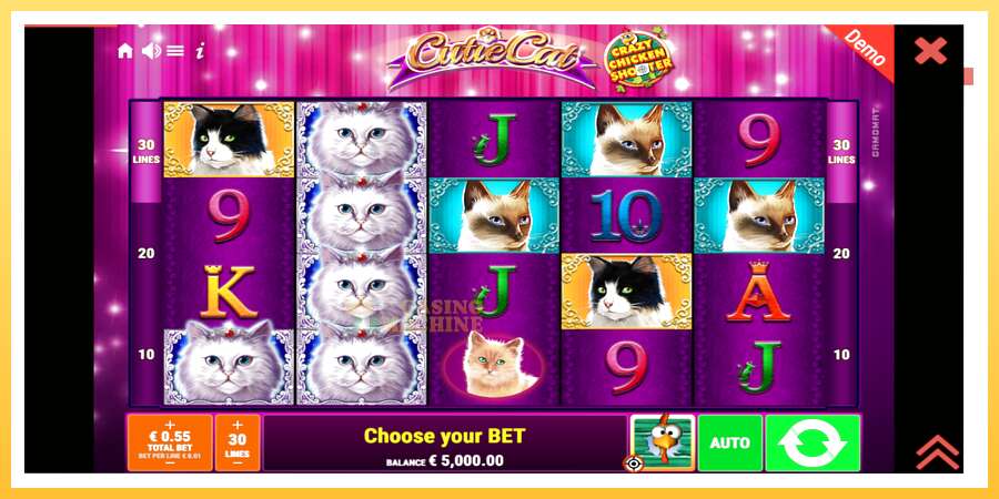 Cutie Cat: ပိုက်ဆံအတွက်ကစား, ပုံ 2