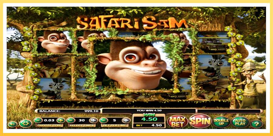 Safari Sam: ပိုက်ဆံအတွက်ကစား, ပုံ 3