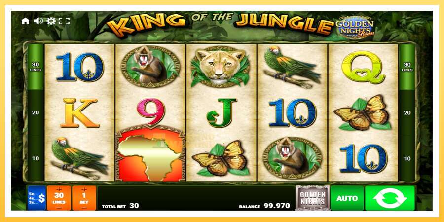 King of the Jungle Golden Nights: ပိုက်ဆံအတွက်ကစား, ပုံ 1