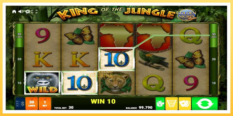 King of the Jungle Golden Nights: ပိုက်ဆံအတွက်ကစား, ပုံ 2