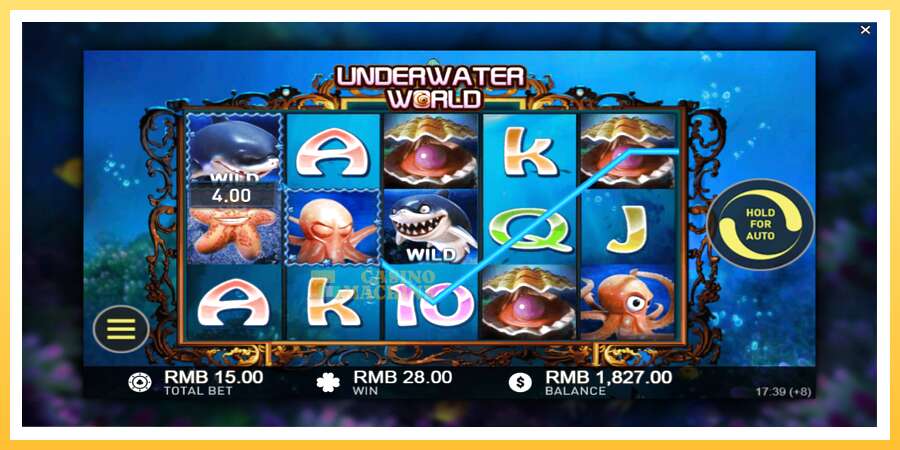 Underwater World: ပိုက်ဆံအတွက်ကစား, ပုံ 4