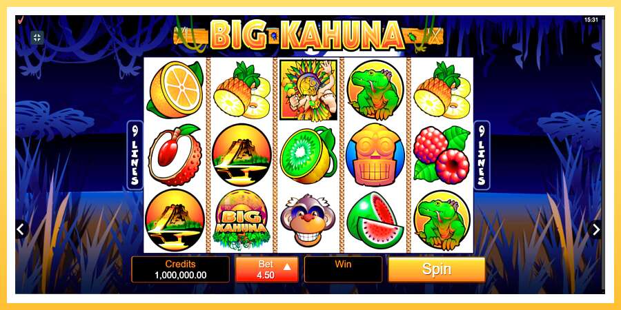 Big Kahuna: ပိုက်ဆံအတွက်ကစား, ပုံ 1