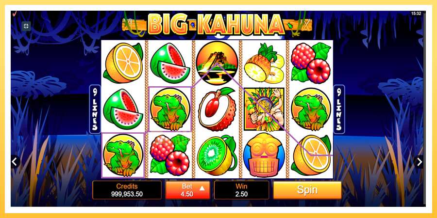 Big Kahuna: ပိုက်ဆံအတွက်ကစား, ပုံ 2