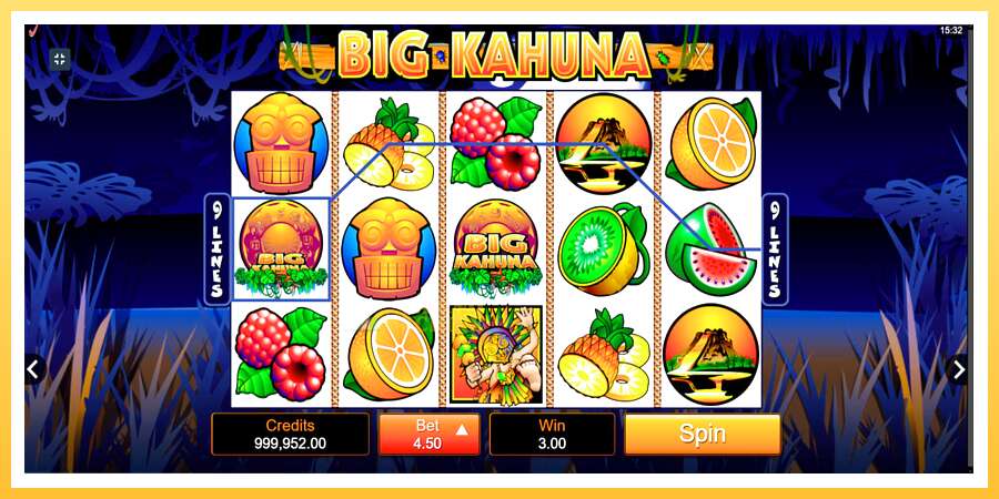 Big Kahuna: ပိုက်ဆံအတွက်ကစား, ပုံ 3