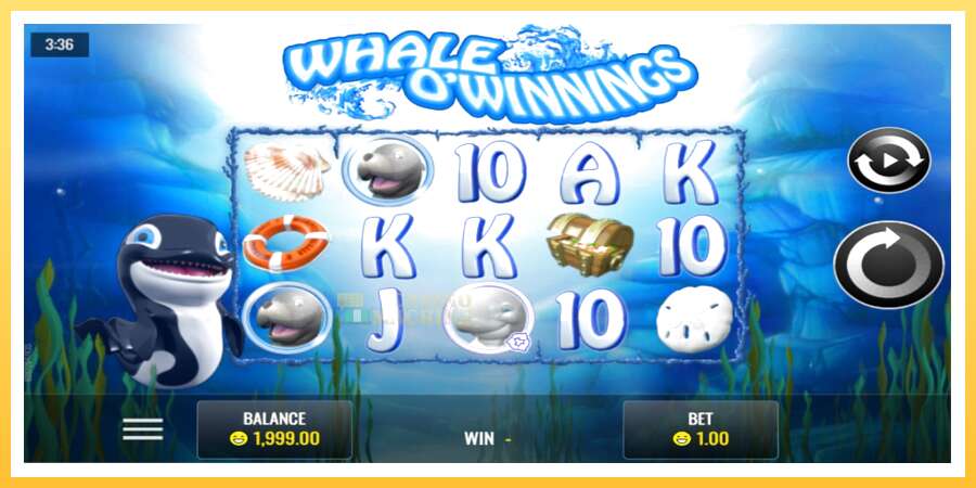 Whale O’Winnings: ပိုက်ဆံအတွက်ကစား, ပုံ 1