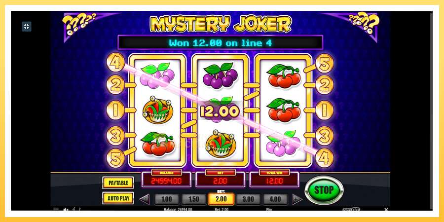 Mystery Joker: ပိုက်ဆံအတွက်ကစား, ပုံ 2