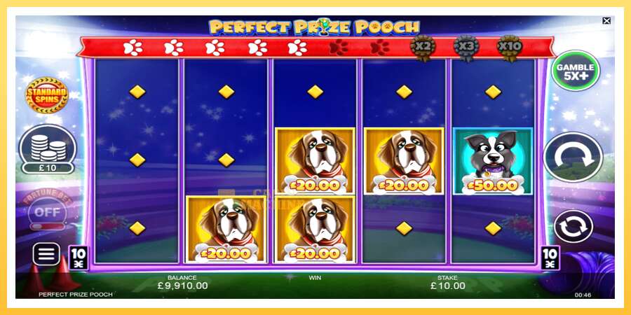 Perfect Prize Pooch: ပိုက်ဆံအတွက်ကစား, ပုံ 5