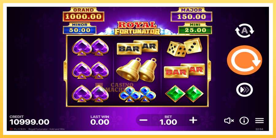 Royal Fortunator: Hold and Win: ပိုက်ဆံအတွက်ကစား, ပုံ 2