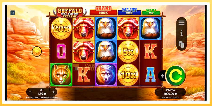 Buffalo Hold and Win Extreme: ပိုက်ဆံအတွက်ကစား, ပုံ 1