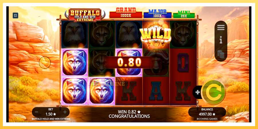 Buffalo Hold and Win Extreme: ပိုက်ဆံအတွက်ကစား, ပုံ 2