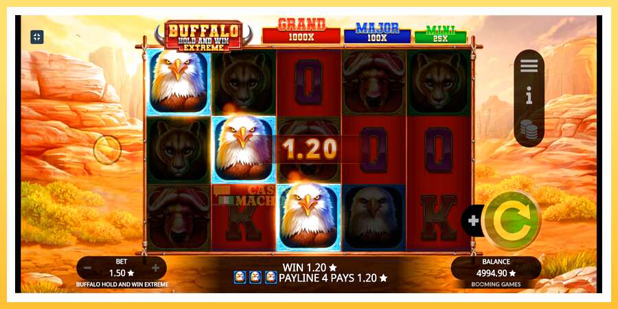 Buffalo Hold and Win Extreme: ပိုက်ဆံအတွက်ကစား, ပုံ 3