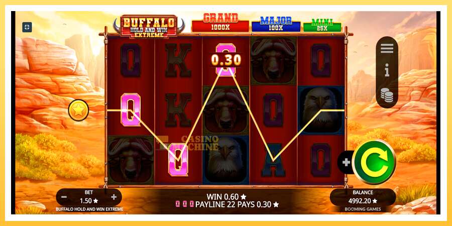 Buffalo Hold and Win Extreme: ပိုက်ဆံအတွက်ကစား, ပုံ 4