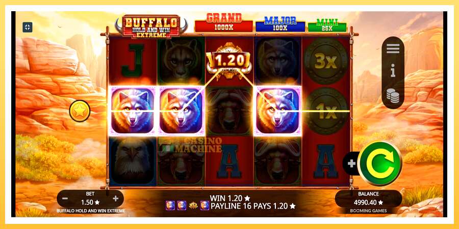 Buffalo Hold and Win Extreme: ပိုက်ဆံအတွက်ကစား, ပုံ 5