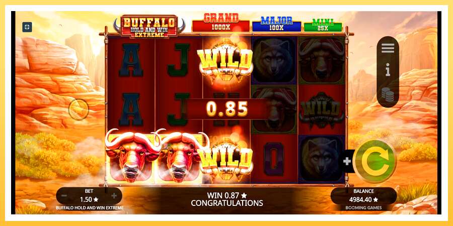 Buffalo Hold and Win Extreme: ပိုက်ဆံအတွက်ကစား, ပုံ 6