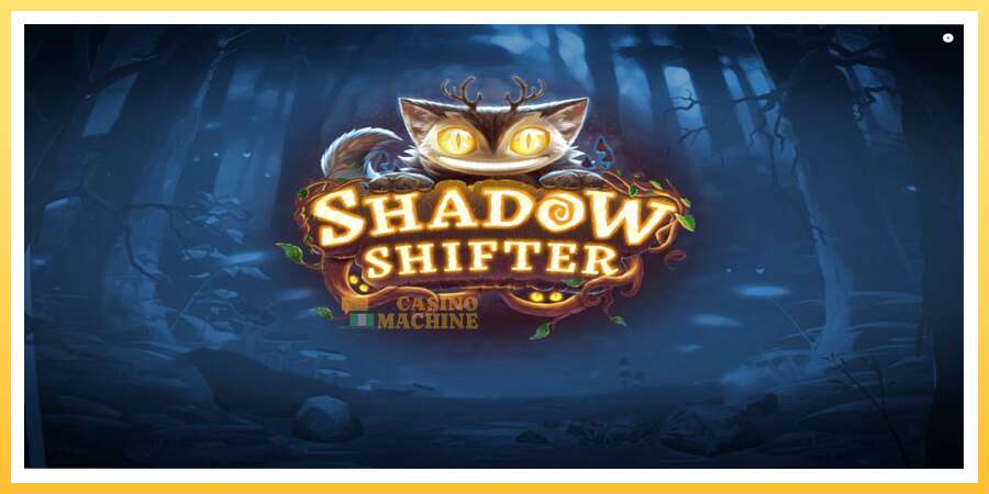 Shadow Shifter: ပိုက်ဆံအတွက်ကစား, ပုံ 1