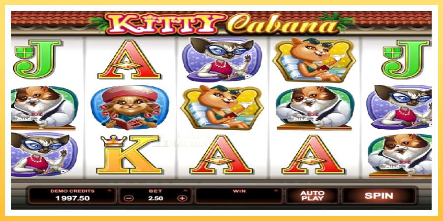 Kitty Cabana: ပိုက်ဆံအတွက်ကစား, ပုံ 2