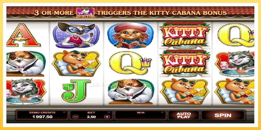 Kitty Cabana: ပိုက်ဆံအတွက်ကစား, ပုံ 3