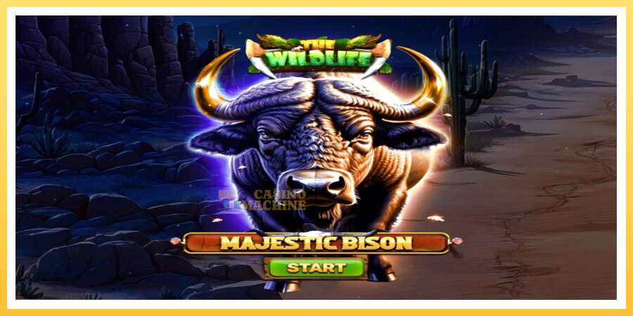 Majestic Bison: ပိုက်ဆံအတွက်ကစား, ပုံ 1