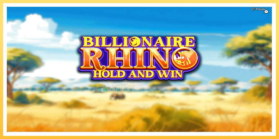 Billionaire Rhino: ပိုက်ဆံအတွက်ကစား, ပုံ 1