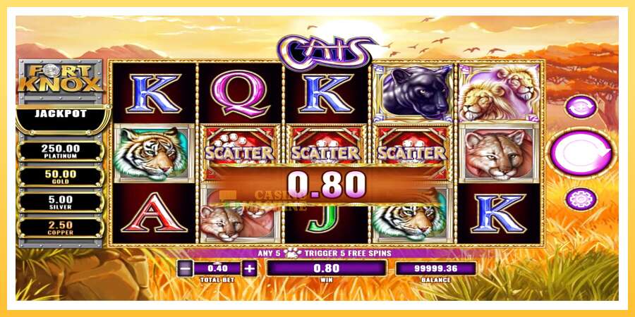 Fort Knox Cats: ပိုက်ဆံအတွက်ကစား, ပုံ 3