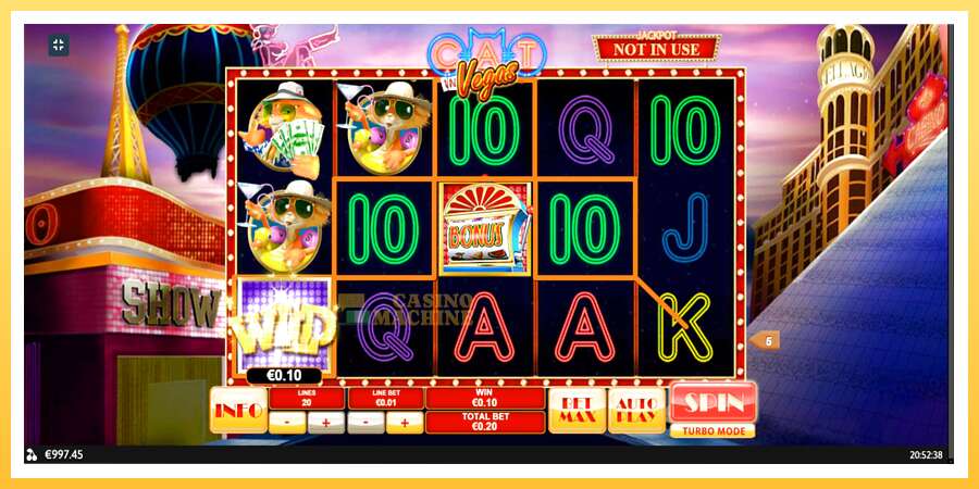 Cat In Vegas: ပိုက်ဆံအတွက်ကစား, ပုံ 8