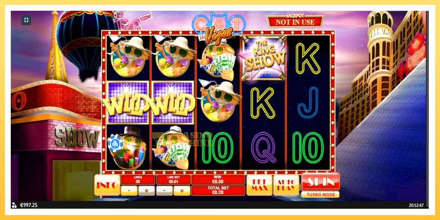 Cat In Vegas: ပိုက်ဆံအတွက်ကစား, ပုံ 9