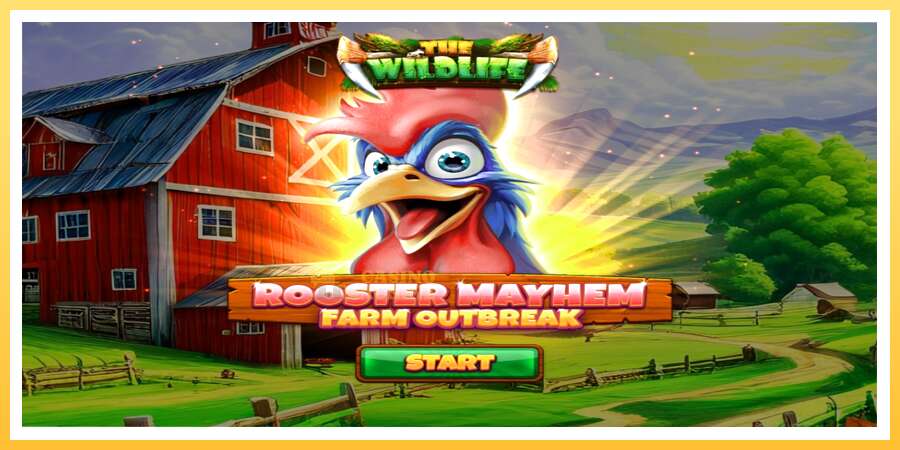 Rooster Mayhem Farm Outbreak: ပိုက်ဆံအတွက်ကစား, ပုံ 1