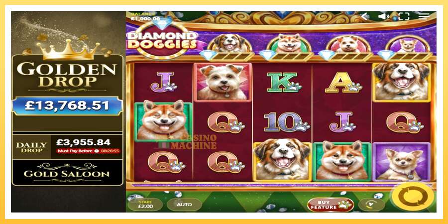 Diamond Doggies: ပိုက်ဆံအတွက်ကစား, ပုံ 1