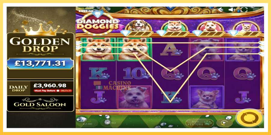 Diamond Doggies: ပိုက်ဆံအတွက်ကစား, ပုံ 2