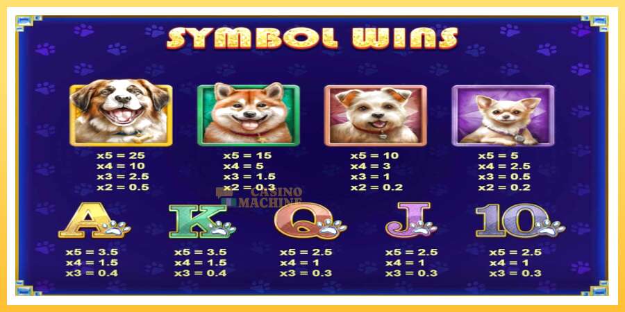 Diamond Doggies: ပိုက်ဆံအတွက်ကစား, ပုံ 5