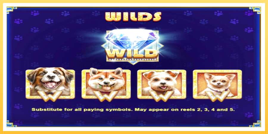 Diamond Doggies: ပိုက်ဆံအတွက်ကစား, ပုံ 6