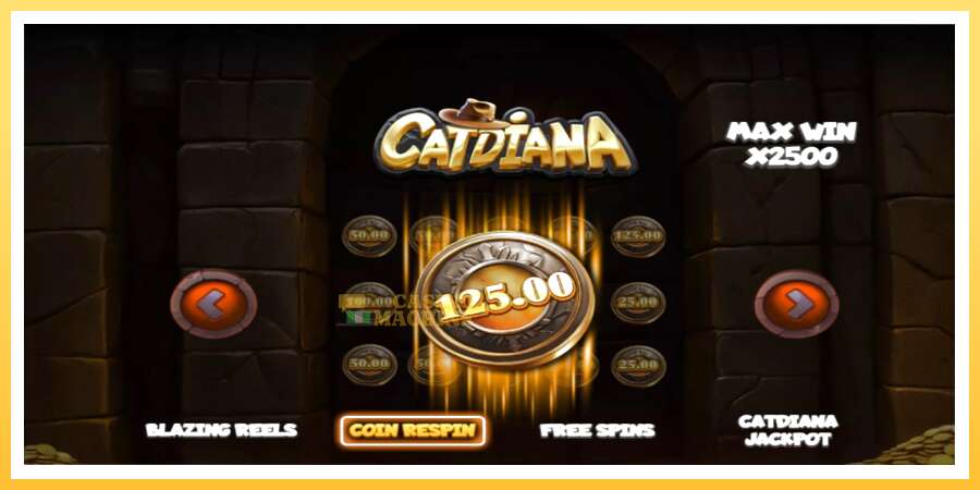 Catdiana: ပိုက်ဆံအတွက်ကစား, ပုံ 3