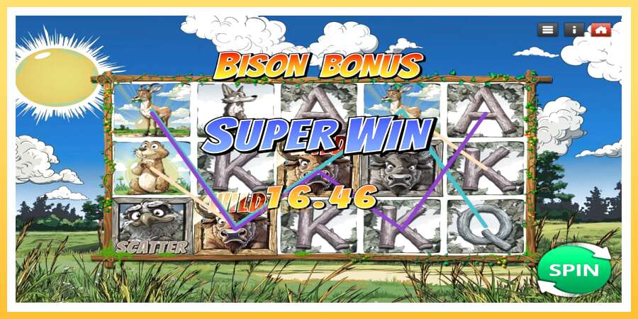 Bison Bonus: ပိုက်ဆံအတွက်ကစား, ပုံ 3