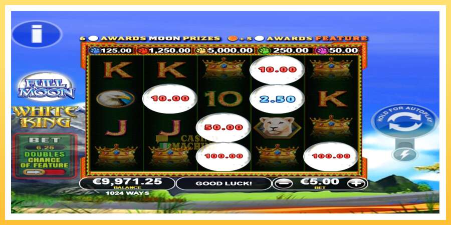 Full Moon: White King PowerPlay Jackpot: ပိုက်ဆံအတွက်ကစား, ပုံ 3