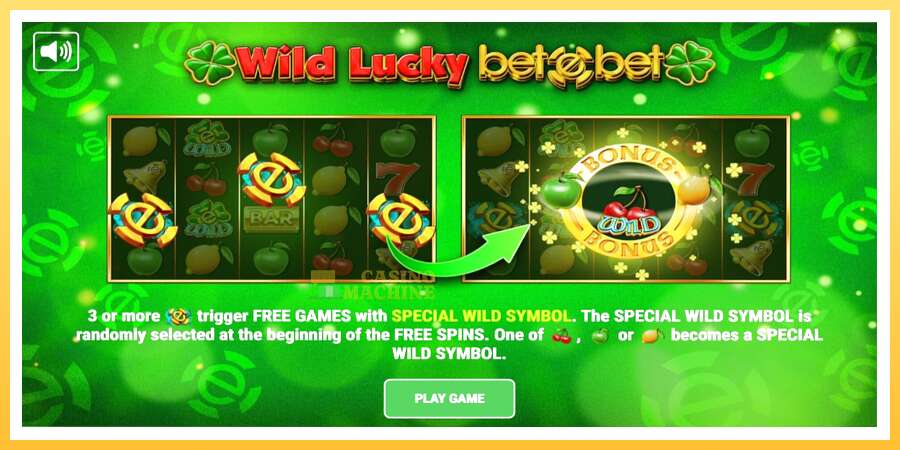 Wild Lucky Betebet: ပိုက်ဆံအတွက်ကစား, ပုံ 1