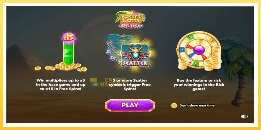 Bastet & Cats Deluxe: ပိုက်ဆံအတွက်ကစား, ပုံ 1