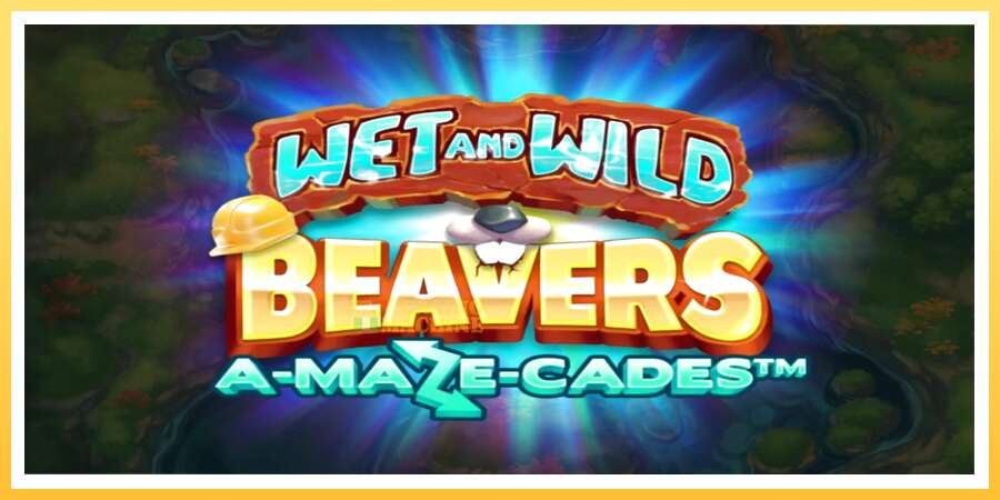 Wet and Wild Beavers: ပိုက်ဆံအတွက်ကစား, ပုံ 1