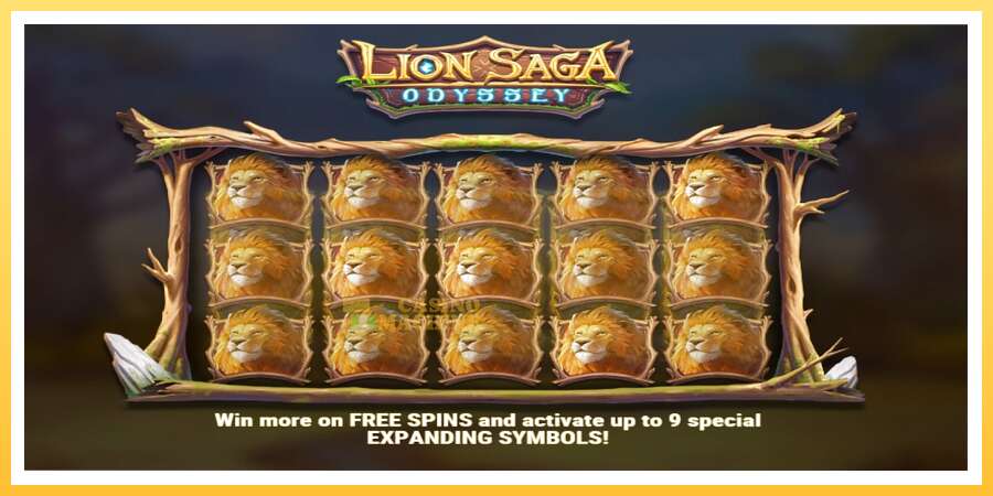 Lion Saga Odyssey: ပိုက်ဆံအတွက်ကစား, ပုံ 3