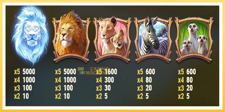 Lion Saga Odyssey: ပိုက်ဆံအတွက်ကစား, ပုံ 5